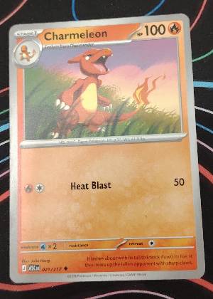 Charmeleon, graded 9.5