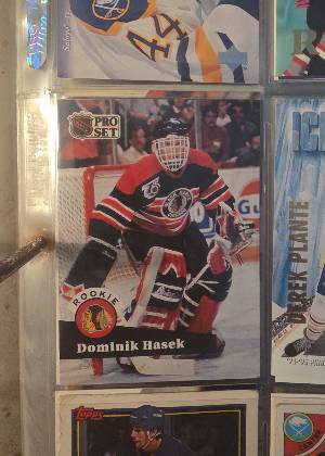 Dominik Hasek, graded 9.0
