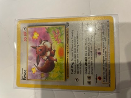 Eevee, graded 7.0