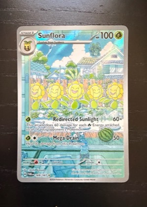 Sunflora, graded 9.0