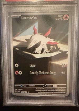 Larvesta, graded 8.5