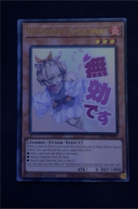 Ash Blossom & Joyous Spring, graded 9.5