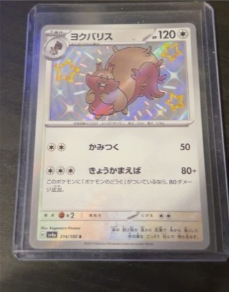 Arven's Greedent - 159/182 graded 6 & below