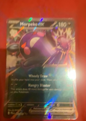 Morpeko, graded 7.5