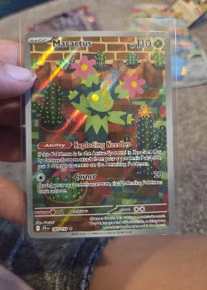 Maractus, graded 9.0