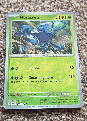 Heracross, graded 9.5