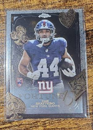 Cam Skattebo, graded 9.0
