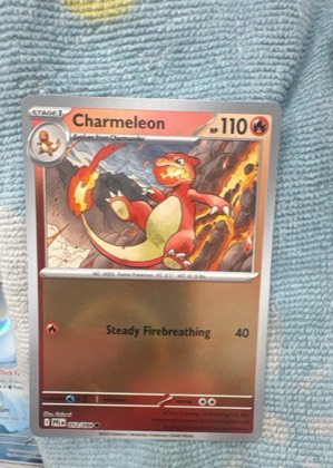 Charmeleon, graded 9.0