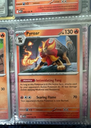 Pyroar, graded 9.5