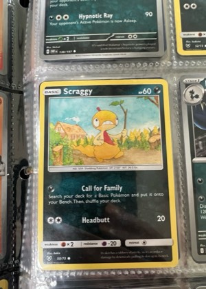 Scraggy, graded 9.0