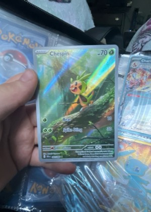 Chespin, graded 8.0