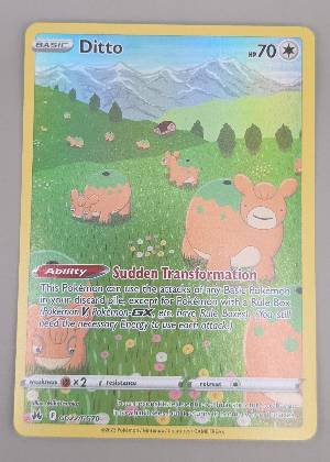 Ditto graded 9