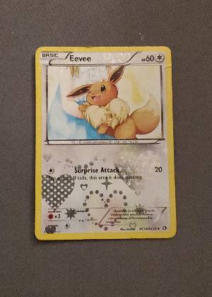 Eevee, graded 6.0