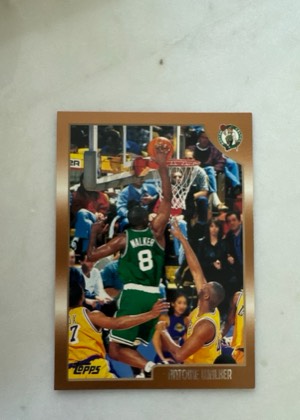 Antoine Walker, graded 9.0