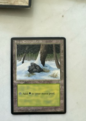 Snow-Covered Island, graded 4.5