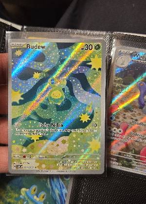 Budew, graded 9.0