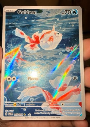 Goldeen, graded 9.0