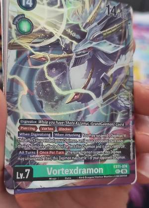 Vortexdramon, graded 8.0