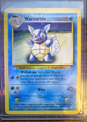 Wartortle, graded 8.0