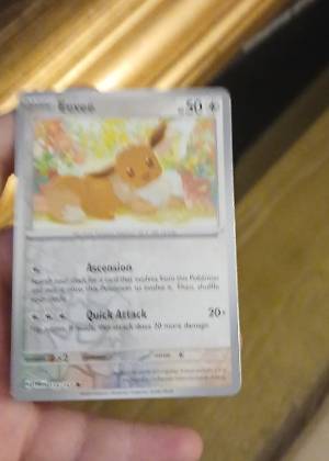 Eevee, graded 8.0