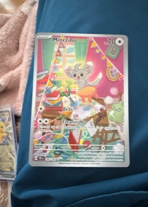 Minccino, graded 9.0