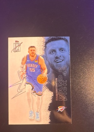 Isaiah Hartenstein, graded 9.0