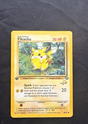Pikachu graded 6 & below