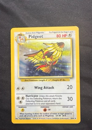 Pidgeot (8), graded 8.5