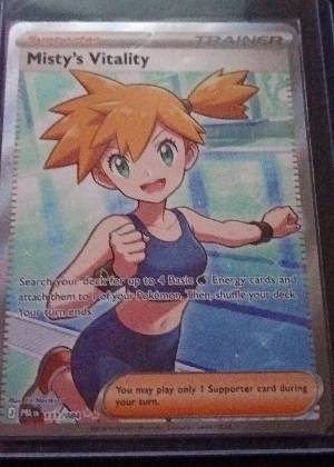 Misty's Vitality, graded 8.0
