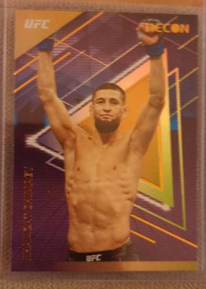 Khamzat Chimaev, graded 8.0