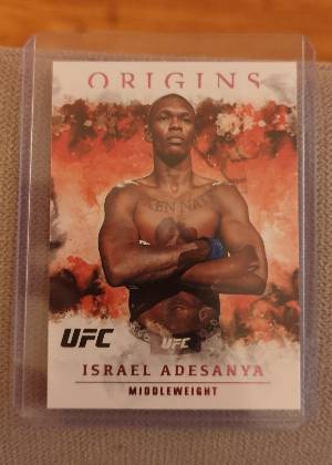 Israel Adesanya, graded 9.5