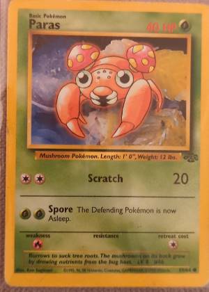 Paras graded 8