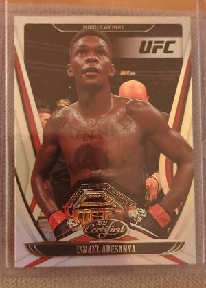 Israel Adesanya, graded 9.0