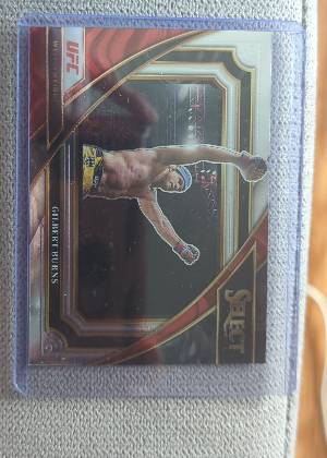 Gilbert Burns, graded 8.0