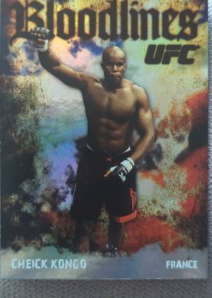 Cheick Kongo, graded 9.0