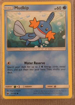 Mudkip, graded 9.0