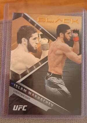 Islam Makhachev, graded 9.0