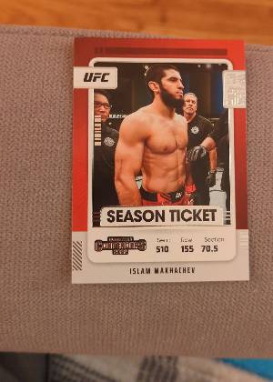 Islam Makhachev, graded 9.5