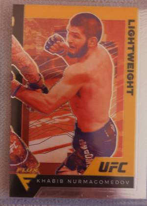 Khabib Nurmagomedov, graded 8.5
