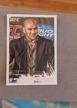 Dana White, graded 9.0