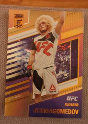 Khabib Nurmagomedov, graded 9.0