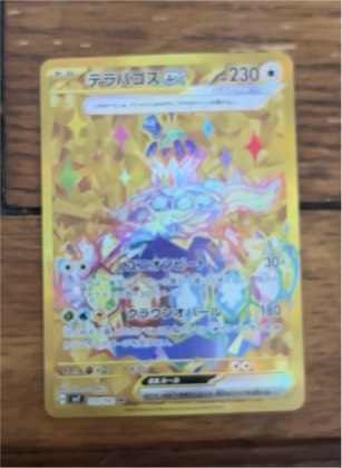 Terapagos ex - 128/142 graded 9.5