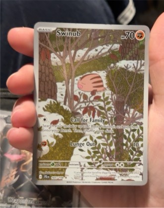 Swinub graded 6 & below