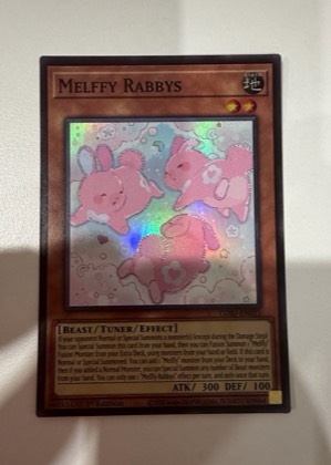 Melffy Rabbys, graded 8.5