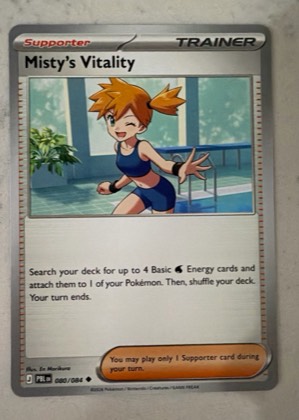 Misty's Vitality, graded 9.0