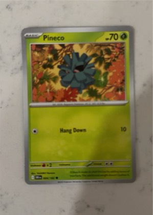 Pineco graded 7
