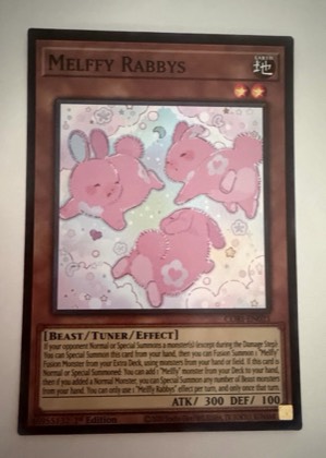 Melffy Rabbys, graded 4.5
