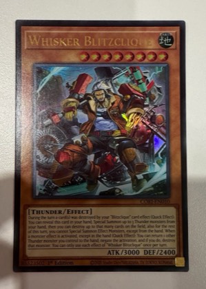 Whisker Blitzclique, graded 9.0