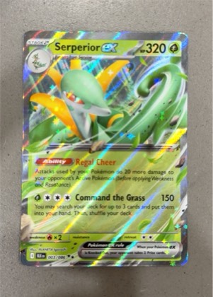 Serperior ex graded 9.5