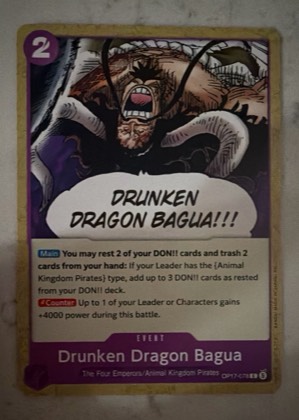 Drunken Dragon Bagua, graded 3.5